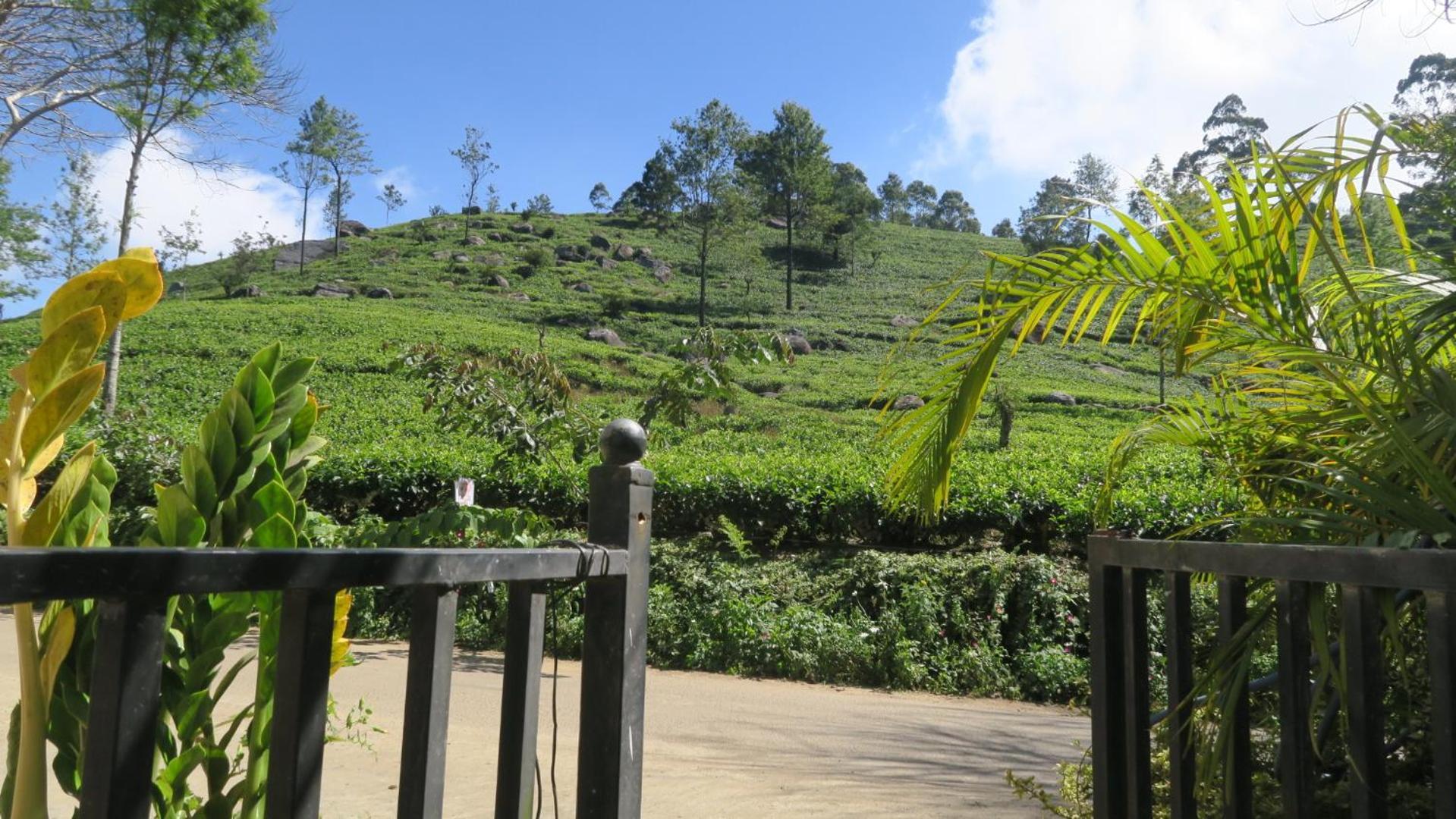 Nilowin Glenanore Guesthouse Haputale Exterior foto